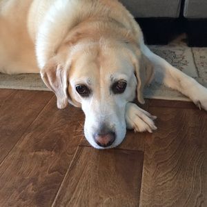 Meet your Posher, Mike